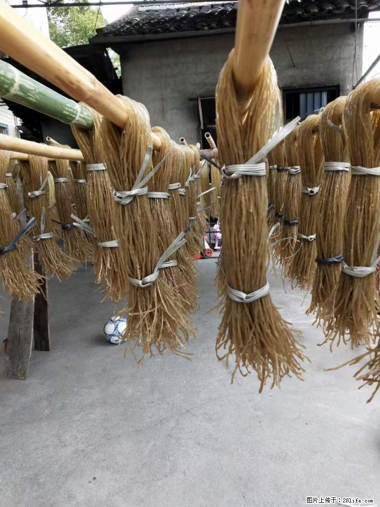 【灌阳正宗红薯粉】美女家里自己做的,干净卫生,假一赔十,价格合理,抢购电话:13737312895 - 美食天地 - 吉安生活社区 - 吉安28生活网 ja.28life.com