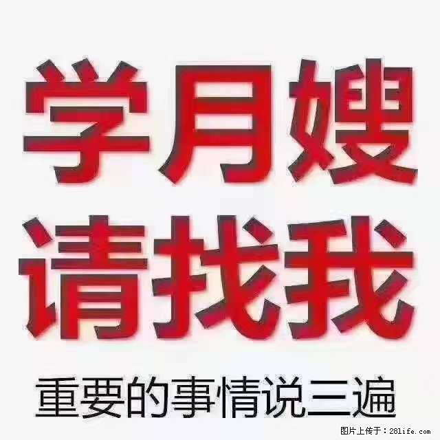 为什么要学习月嫂,育婴师? - 其他广告 - 广告专区 - 吉安分类信息 - 吉安28生活网 ja.28life.com