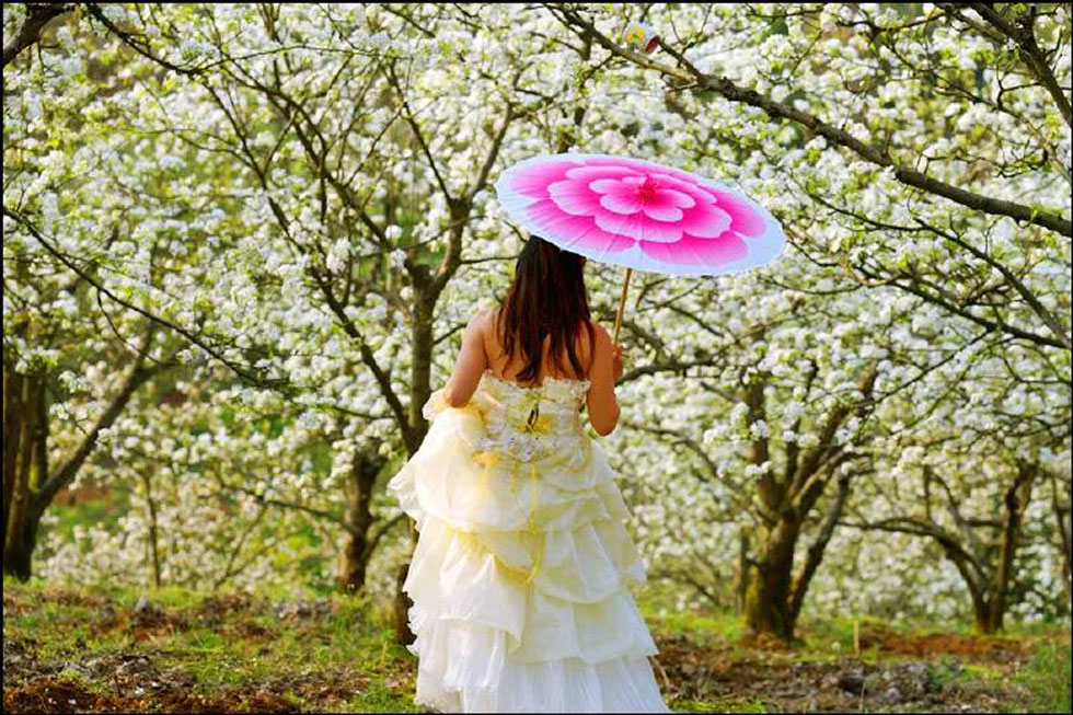 【春天,广西桂林灌阳县向您发出邀请!】我们在灌阳看梨花 - 游山玩水 - 吉安生活社区 - 吉安28生活网 ja.28life.com