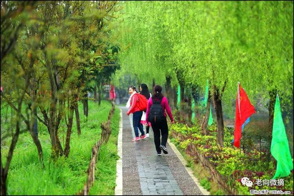 【春天,广西桂林灌阳县向您发出邀请!】江口老街又逢春 - 游山玩水 - 吉安生活社区 - 吉安28生活网 ja.28life.com