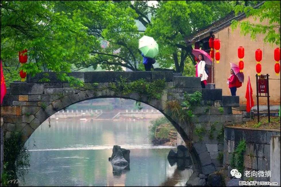 【春天,广西桂林灌阳县向您发出邀请!】江口老街又逢春 - 游山玩水 - 吉安生活社区 - 吉安28生活网 ja.28life.com