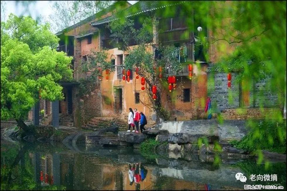 【春天,广西桂林灌阳县向您发出邀请!】江口老街又逢春 - 游山玩水 - 吉安生活社区 - 吉安28生活网 ja.28life.com