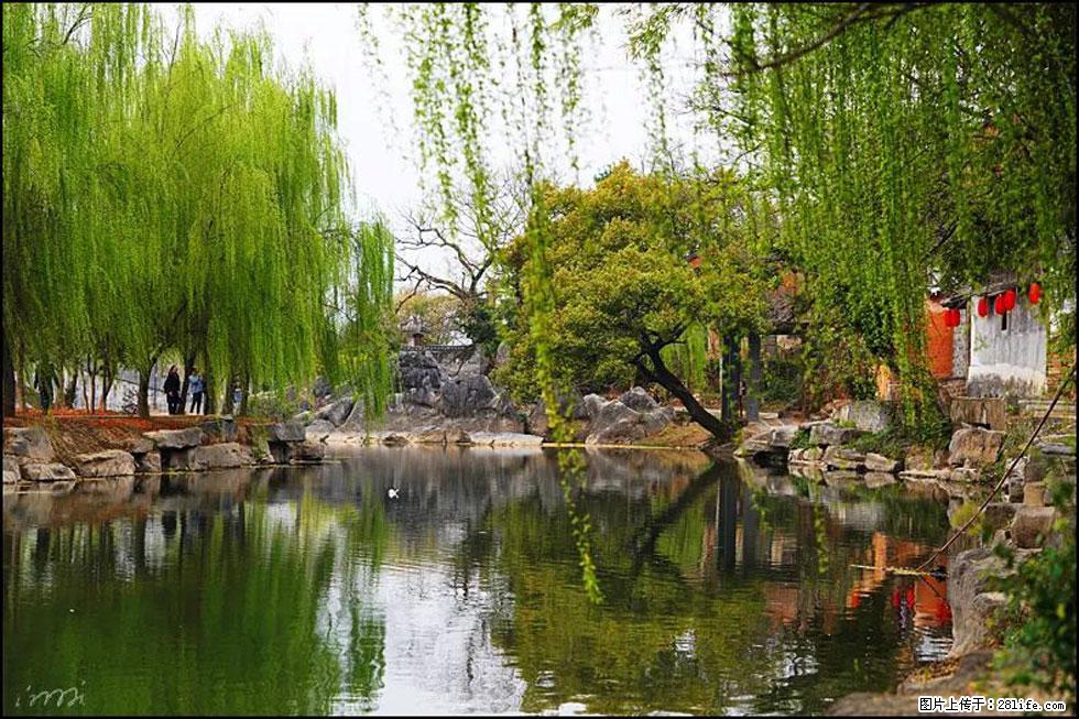 【春天,广西桂林灌阳县向您发出邀请!】江口老街又逢春 - 游山玩水 - 吉安生活社区 - 吉安28生活网 ja.28life.com