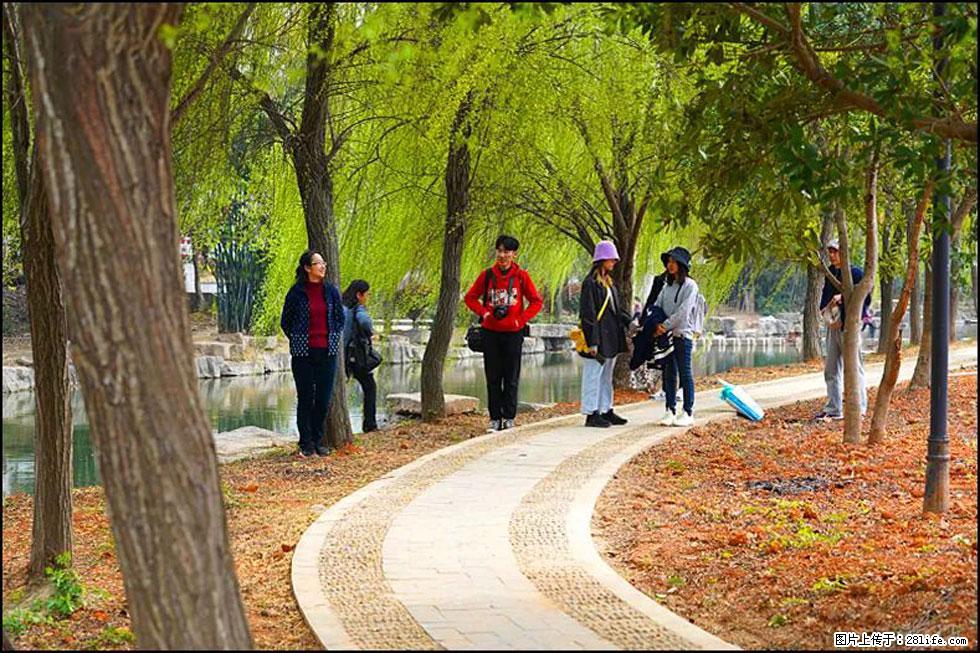 【春天,广西桂林灌阳县向您发出邀请!】江口老街又逢春 - 游山玩水 - 吉安生活社区 - 吉安28生活网 ja.28life.com