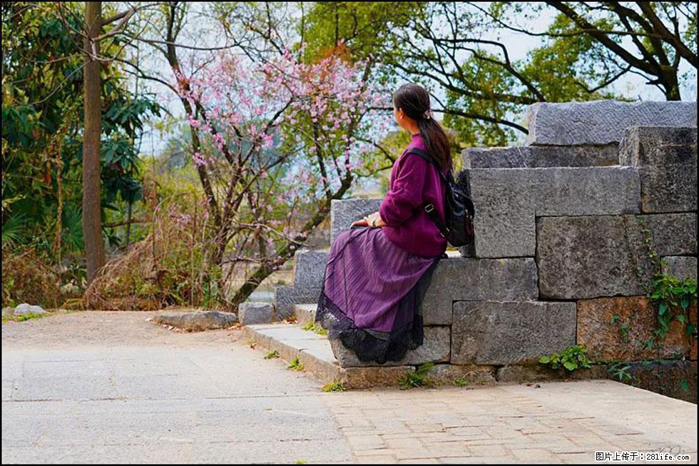 【春天,广西桂林灌阳县向您发出邀请!】江口老街又逢春 - 游山玩水 - 吉安生活社区 - 吉安28生活网 ja.28life.com