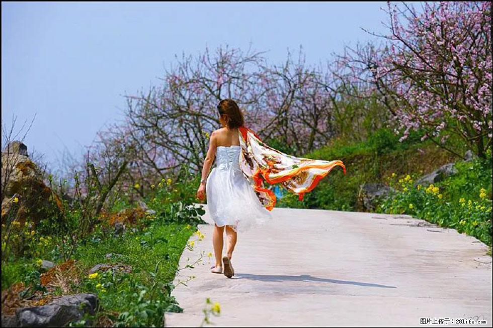 【春天,广西桂林灌阳县向您发出邀请!】望月岭上桃花开 - 游山玩水 - 吉安生活社区 - 吉安28生活网 ja.28life.com