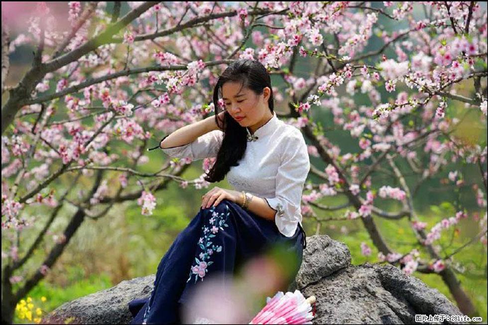 【春天,广西桂林灌阳县向您发出邀请!】望月岭上桃花开 - 游山玩水 - 吉安生活社区 - 吉安28生活网 ja.28life.com