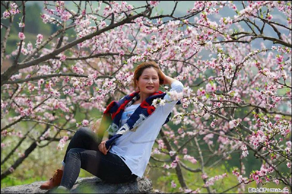 【春天,广西桂林灌阳县向您发出邀请!】望月岭上桃花开 - 游山玩水 - 吉安生活社区 - 吉安28生活网 ja.28life.com
