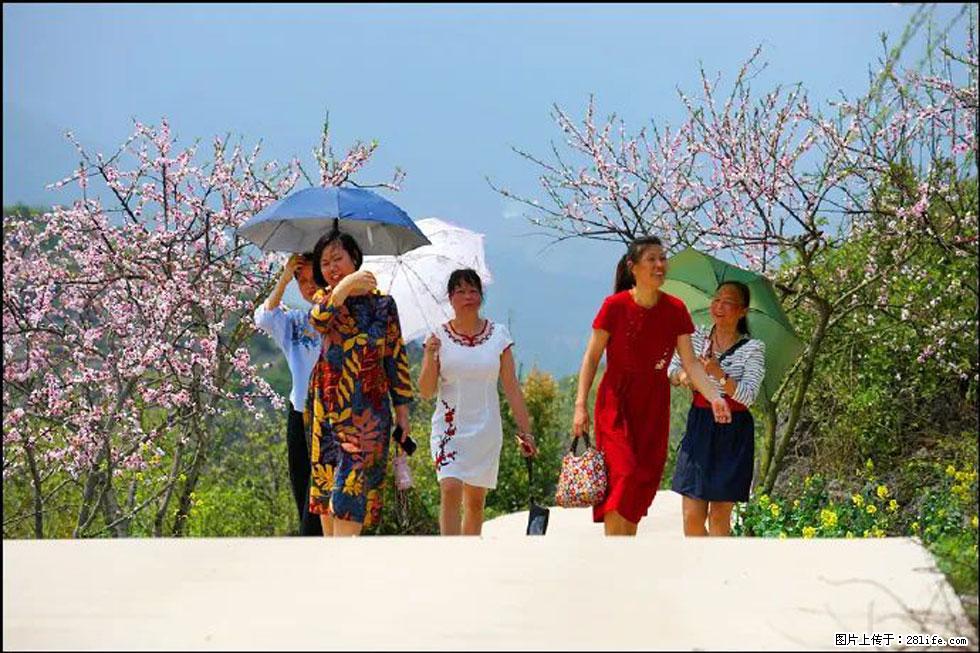 【春天,广西桂林灌阳县向您发出邀请!】望月岭上桃花开 - 游山玩水 - 吉安生活社区 - 吉安28生活网 ja.28life.com