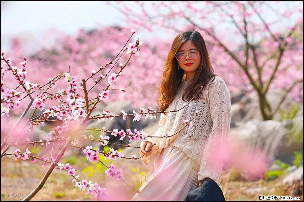 【春天,广西桂林灌阳县向您发出邀请!】望月岭上桃花开 - 游山玩水 - 吉安生活社区 - 吉安28生活网 ja.28life.com