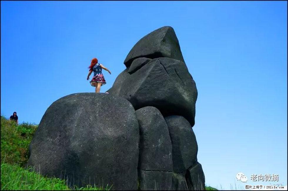 【春天，广西桂林灌阳县向您发出邀请！】宝盖山上映山红 - 游山玩水 - 吉安生活社区 - 吉安28生活网 ja.28life.com