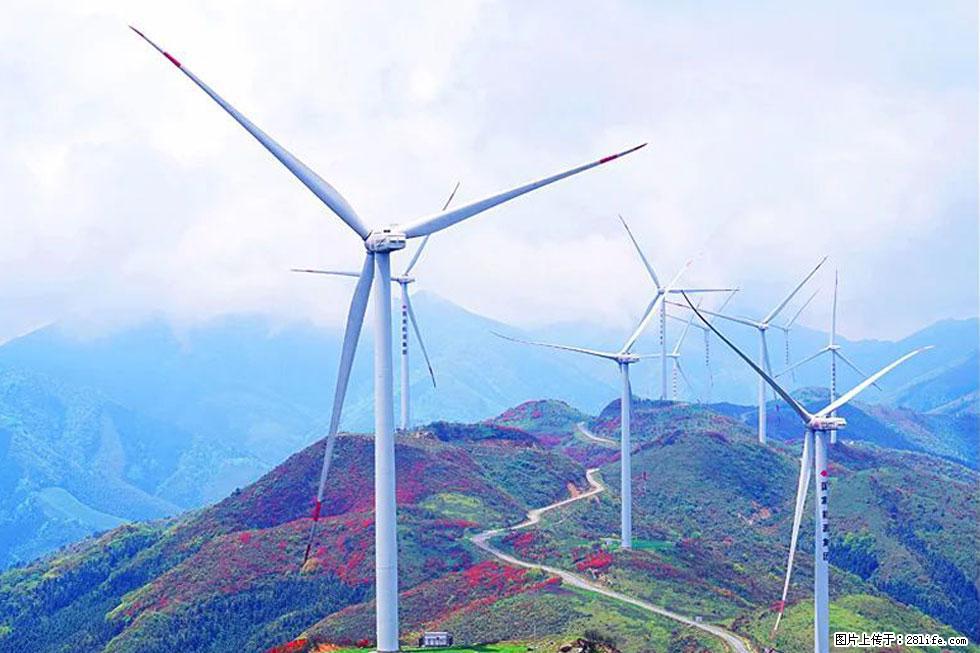 【春天，广西桂林灌阳县向您发出邀请！】春木界上映山红 - 游山玩水 - 吉安生活社区 - 吉安28生活网 ja.28life.com