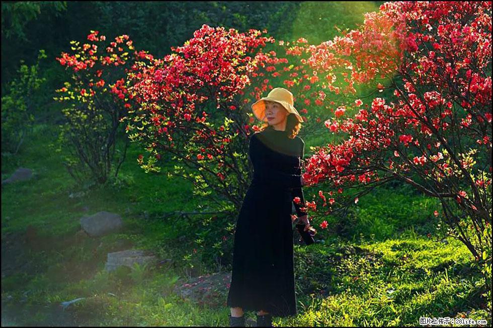 【春天，广西桂林灌阳县向您发出邀请！】春木界上映山红 - 游山玩水 - 吉安生活社区 - 吉安28生活网 ja.28life.com