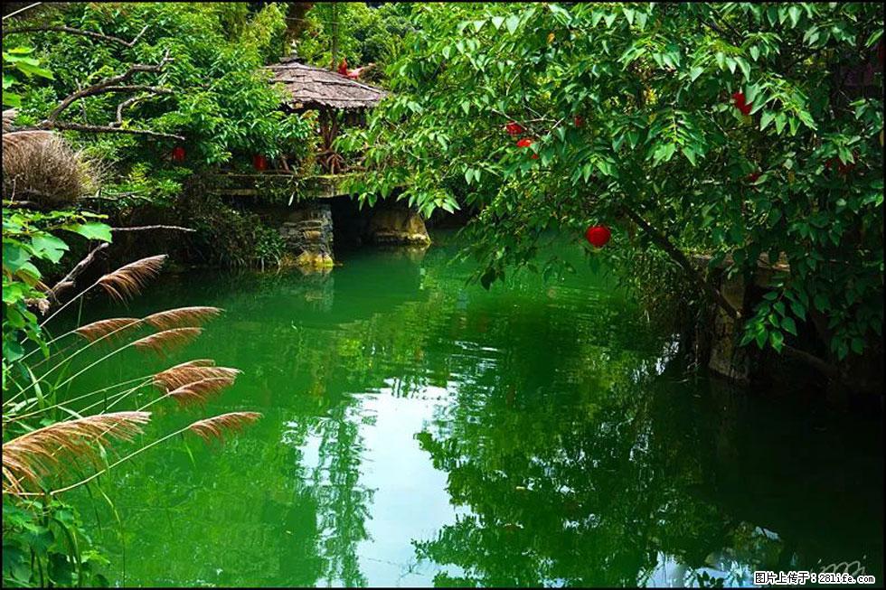 【春天,广西桂林灌阳县向您发出邀请!】如梦似幻莲溪庐 - 游山玩水 - 吉安生活社区 - 吉安28生活网 ja.28life.com