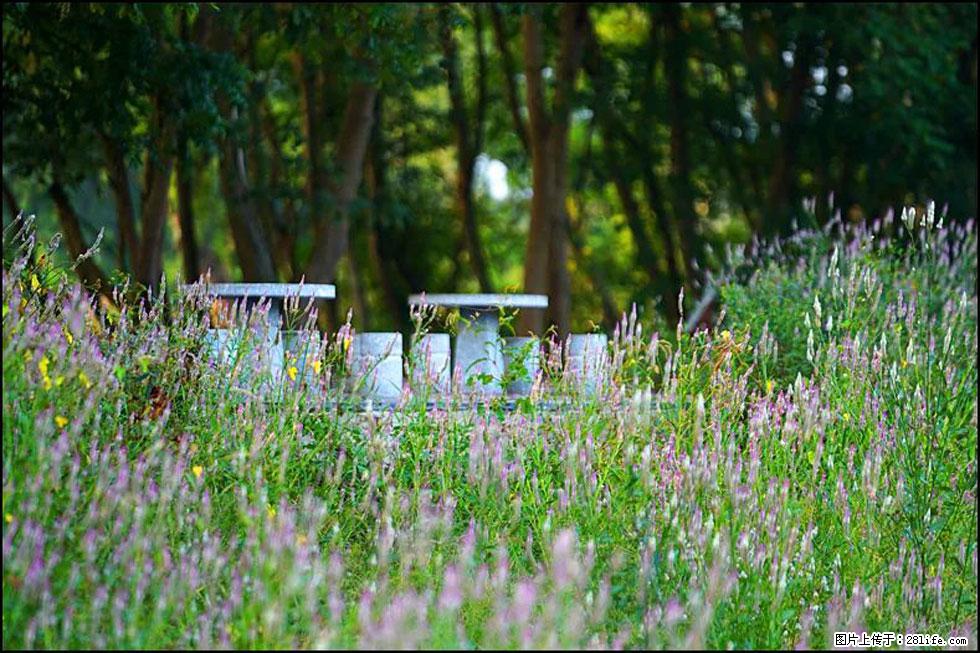 【春天,广西桂林灌阳县向您发出邀请!】熊家寨湿地公园 - 游山玩水 - 吉安生活社区 - 吉安28生活网 ja.28life.com