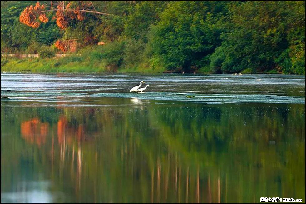 【春天,广西桂林灌阳县向您发出邀请!】熊家寨湿地公园 - 游山玩水 - 吉安生活社区 - 吉安28生活网 ja.28life.com