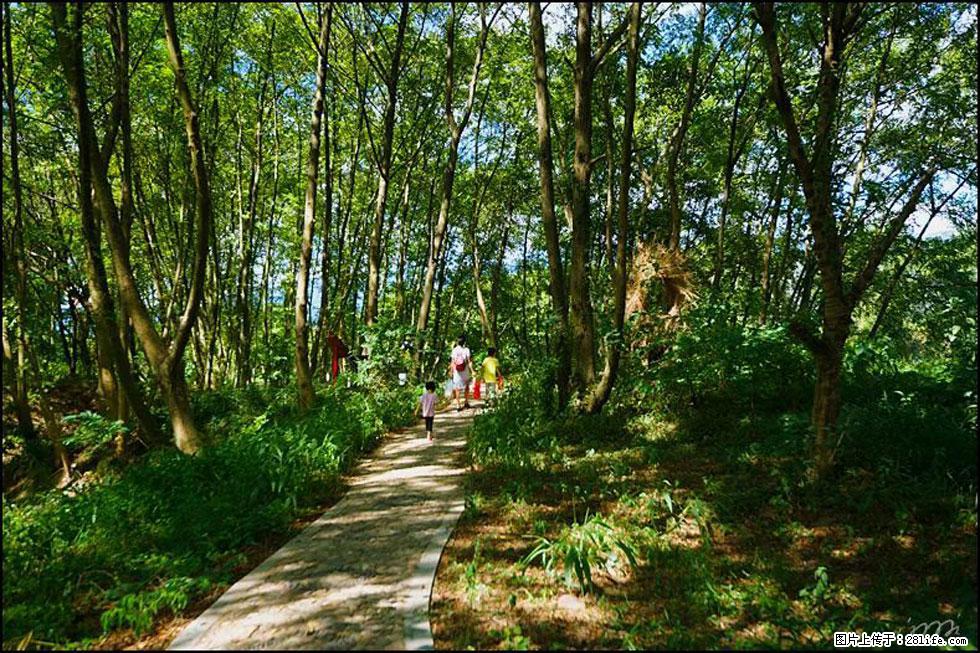 【春天,广西桂林灌阳县向您发出邀请!】熊家寨湿地公园 - 游山玩水 - 吉安生活社区 - 吉安28生活网 ja.28life.com