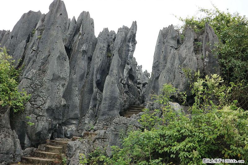 桂林旅游名城景点：灌阳文市石林 - 游山玩水 - 吉安生活社区 - 吉安28生活网 ja.28life.com