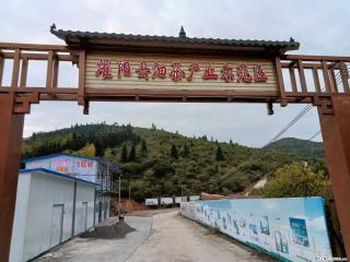 【灌阳县油茶产业示范区】一个有着充实的精神生活的人,对待身外之物自会有一种淡泊的态度 - 吉安28生活网 ja.28life.com