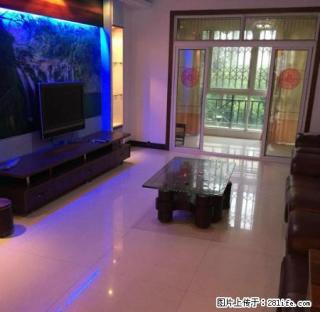 市中心大润发旁 凯震金鹭精装2房 家电齐全 拎包入住带柴火间 - 吉安28生活网 ja.28life.com