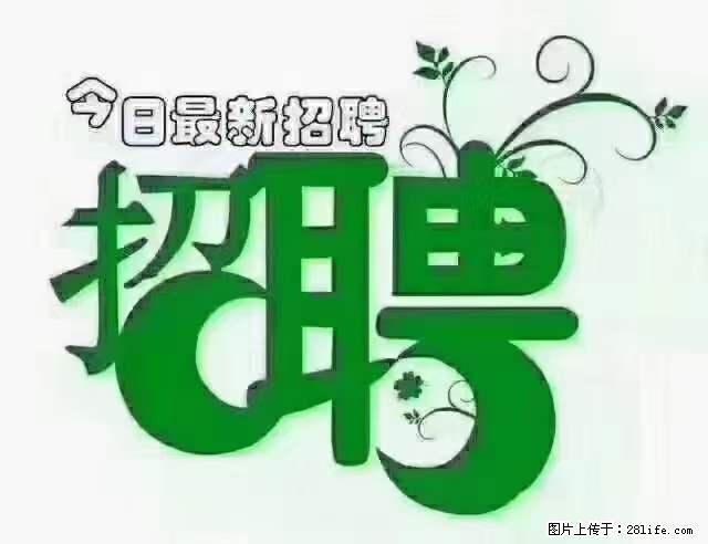 【招聘摄像师】待遇:试用期6000元/月,转正7000元/月+五险一金+餐补+节日福利+奖金 - 职场交流 - 吉安生活社区 - 吉安28生活网 ja.28life.com