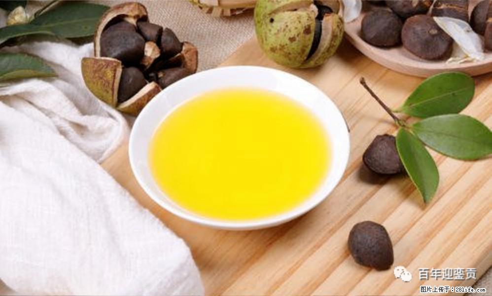 揭秘茶油的5大核心营养成分!被称为人体健康的“守护盾”! - 吉安生活资讯 - 吉安28生活网 ja.28life.com