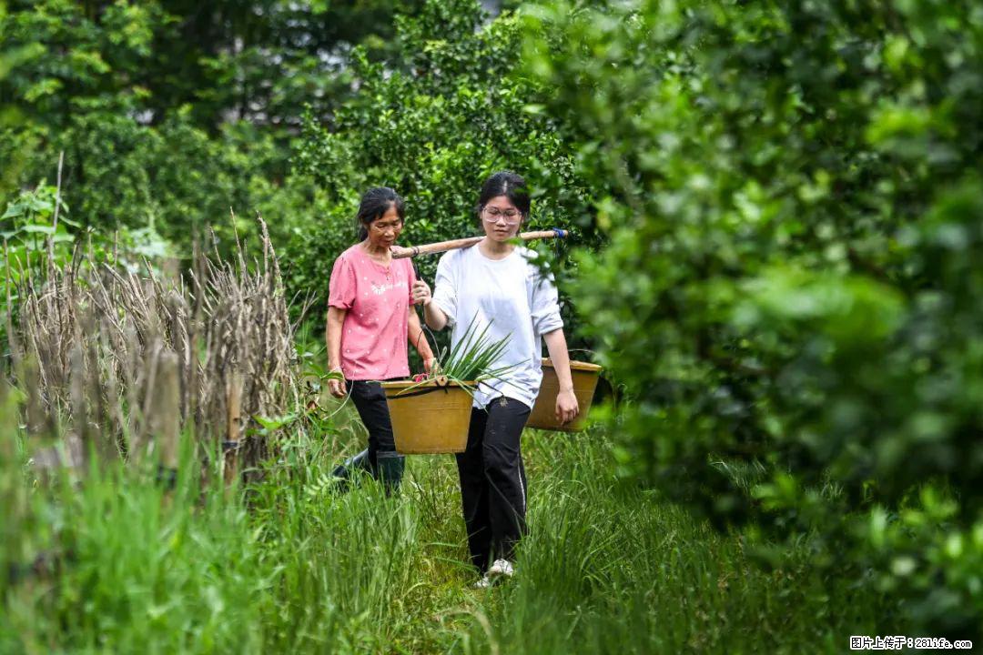全网追的“扁担女孩”,找了一份暑假工,时薪12元 - 吉安生活资讯 - 吉安28生活网 ja.28life.com