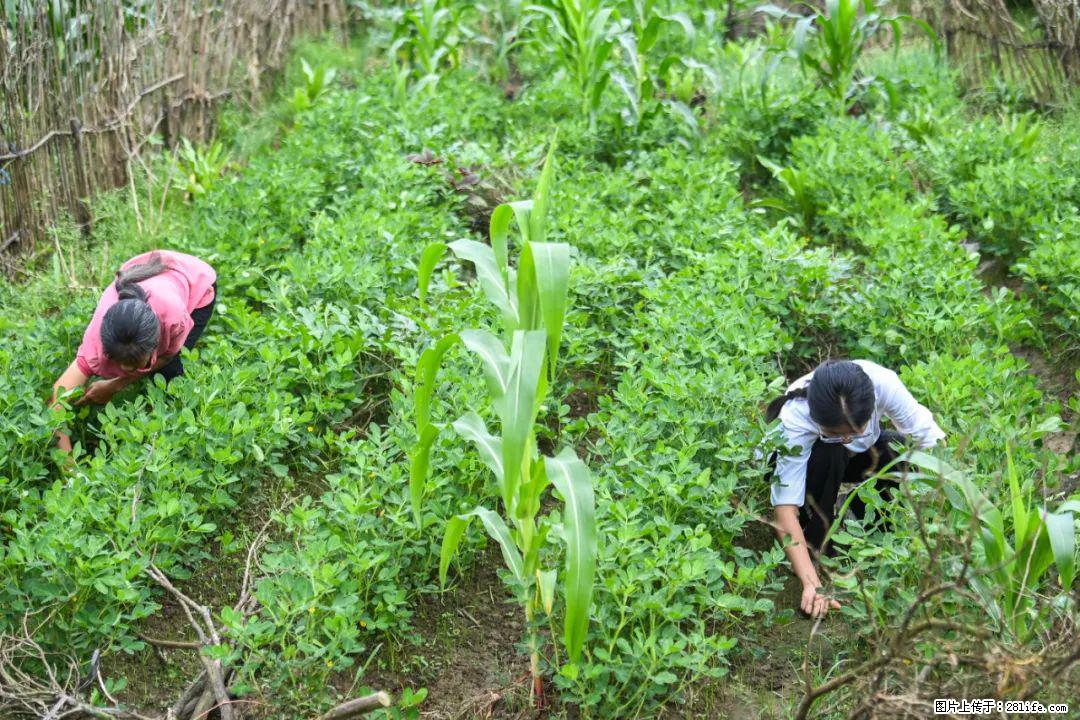 全网追的“扁担女孩”,找了一份暑假工,时薪12元 - 吉安生活资讯 - 吉安28生活网 ja.28life.com