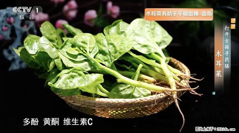 比牛奶补钙还厉害！凉血解毒、稳血糖...这菜冬天必吃，很多人却当草 - 吉安生活资讯 - 吉安28生活网 ja.28life.com