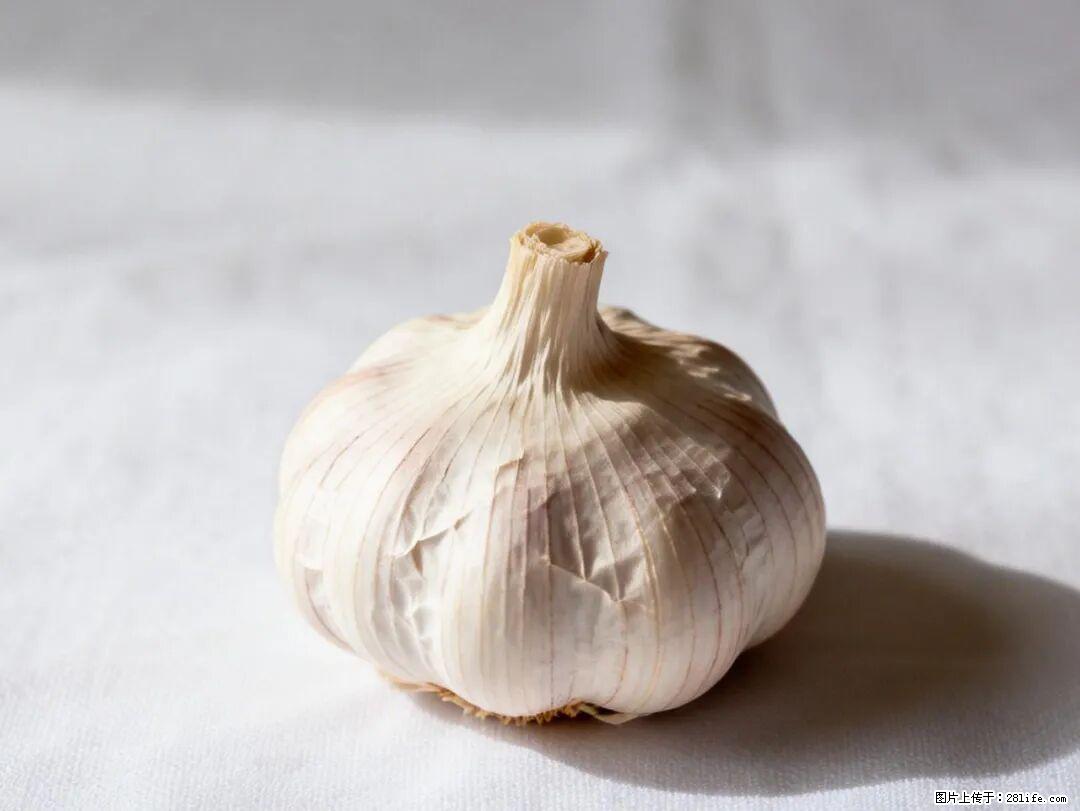 关于大蒜，除了“天然抗生素”，这4个谣言更该警惕! - 吉安生活资讯 - 吉安28生活网 ja.28life.com