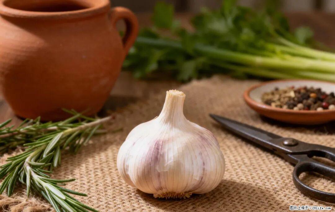 关于大蒜，除了“天然抗生素”，这4个谣言更该警惕! - 吉安生活资讯 - 吉安28生活网 ja.28life.com