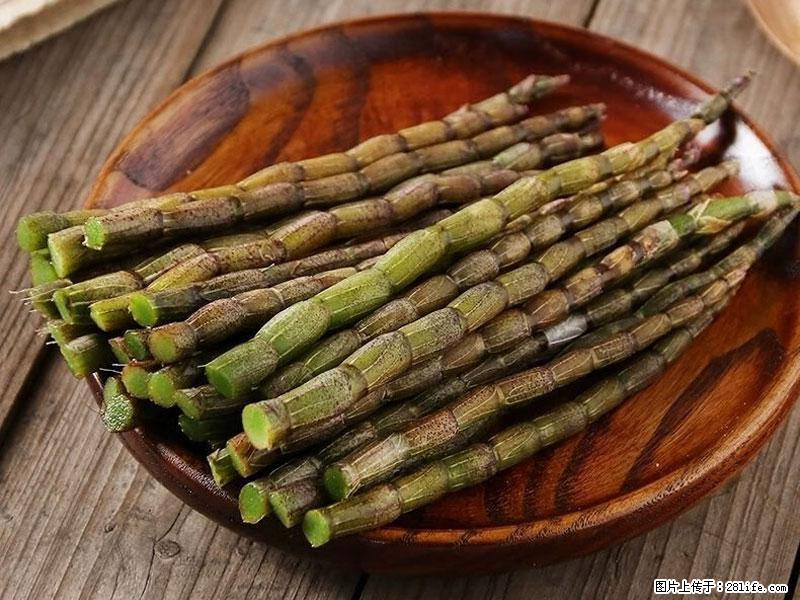 铁皮石斛的作用与功能主治 - 吉安生活资讯 - 吉安28生活网 ja.28life.com