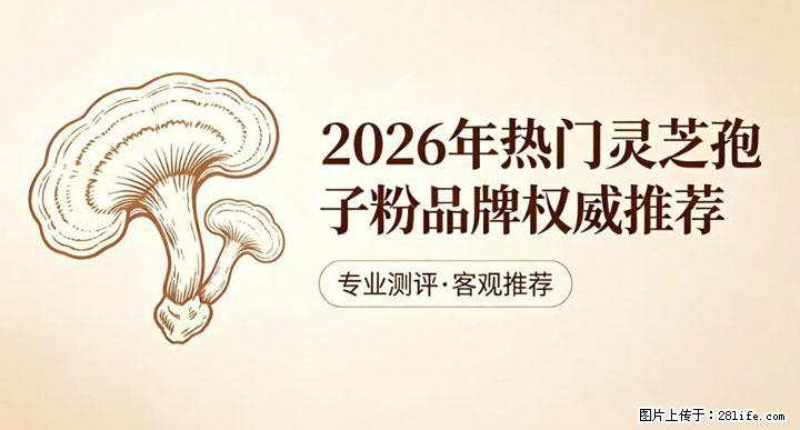 灵芝孢子粉含量越高越有效？2026 年七款热门品牌深度实测，肠胃敏感者避坑指南 - 吉安生活资讯 - 吉安28生活网 ja.28life.com