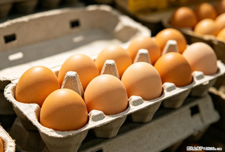 每天吃1个鸡蛋，全身收获9大好处！ - 吉安生活资讯 - 吉安28生活网 ja.28life.com